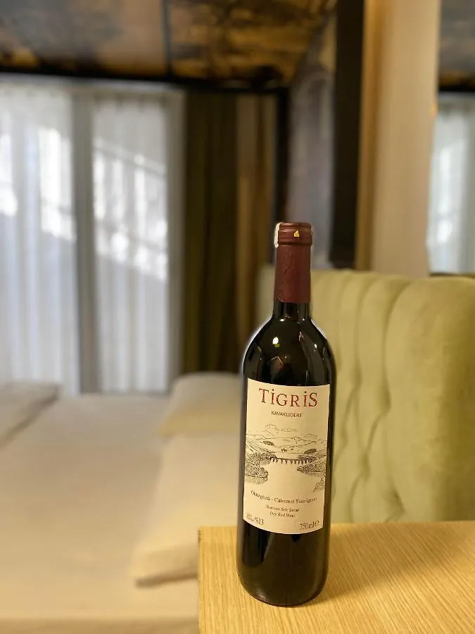 Shadi House Hotel Istambul
